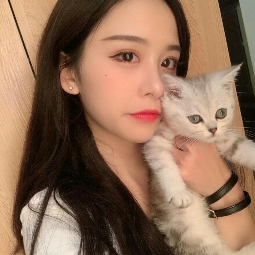 乐鱼app下载下载手机版