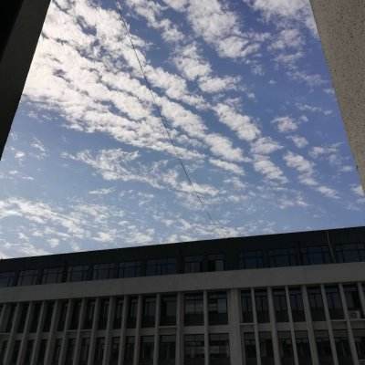 金沙集团186CC下载手机版